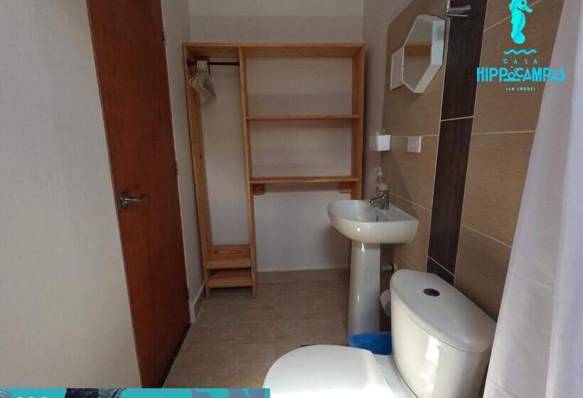 חדר סטנדרט, Sukha Hippocampus San Andrés Isla