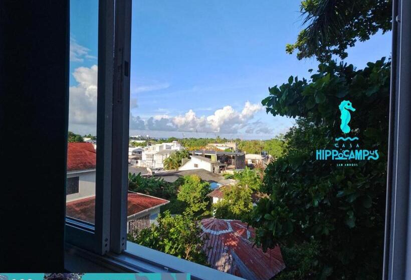 חדר משפחתי, Sukha Hippocampus San Andrés Isla