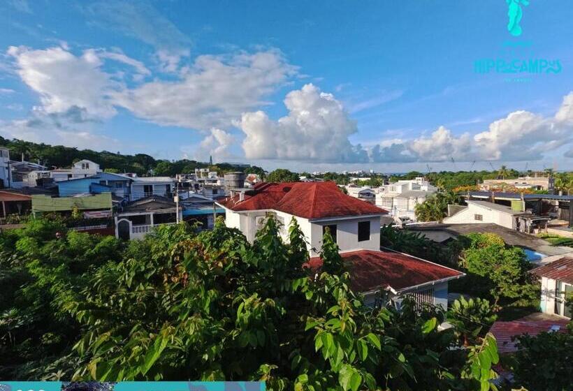 חדר משפחתי, Sukha Hippocampus San Andrés Isla