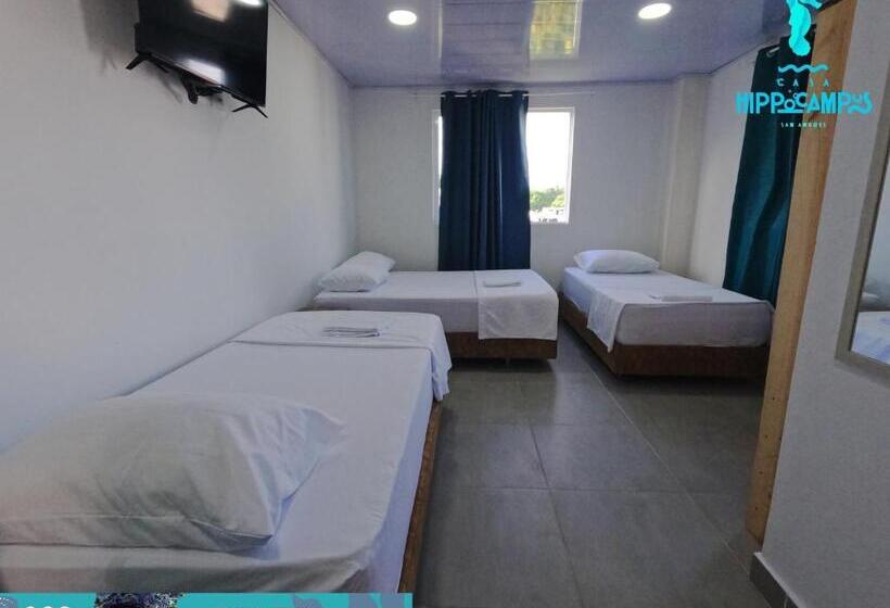 家庭间, Sukha Hippocampus San Andrés Isla