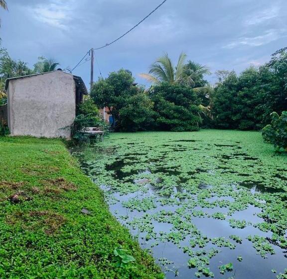 스탠다드 룸 가든 전망, Ashok Villa