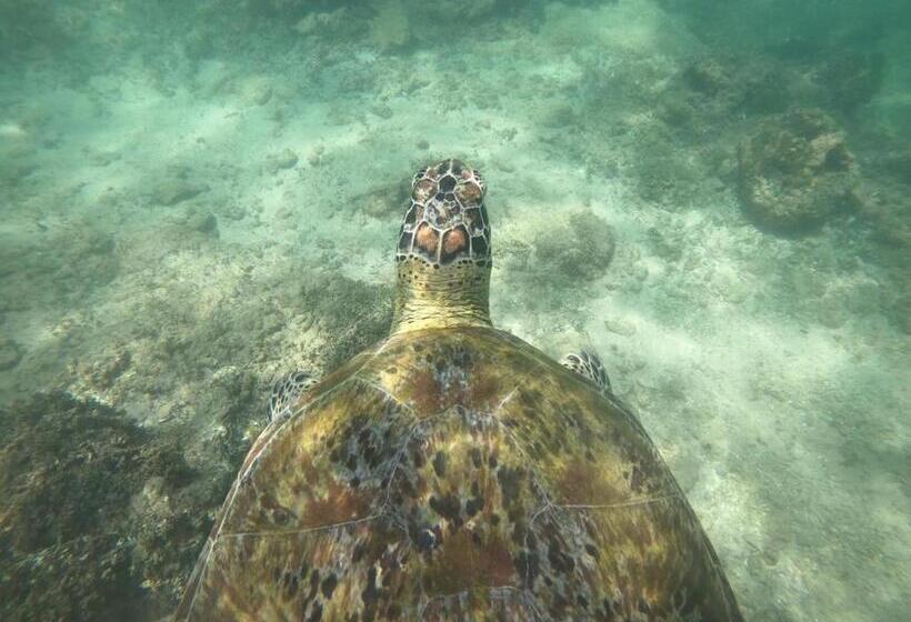 디럭스 룸 호수 전망, Ashok Villa