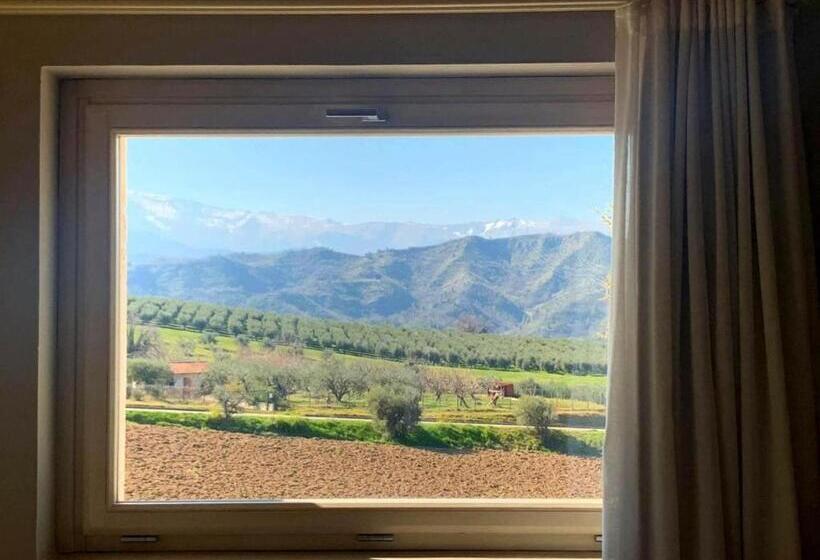 اتاق استاندارد, B&b Case Pacifici