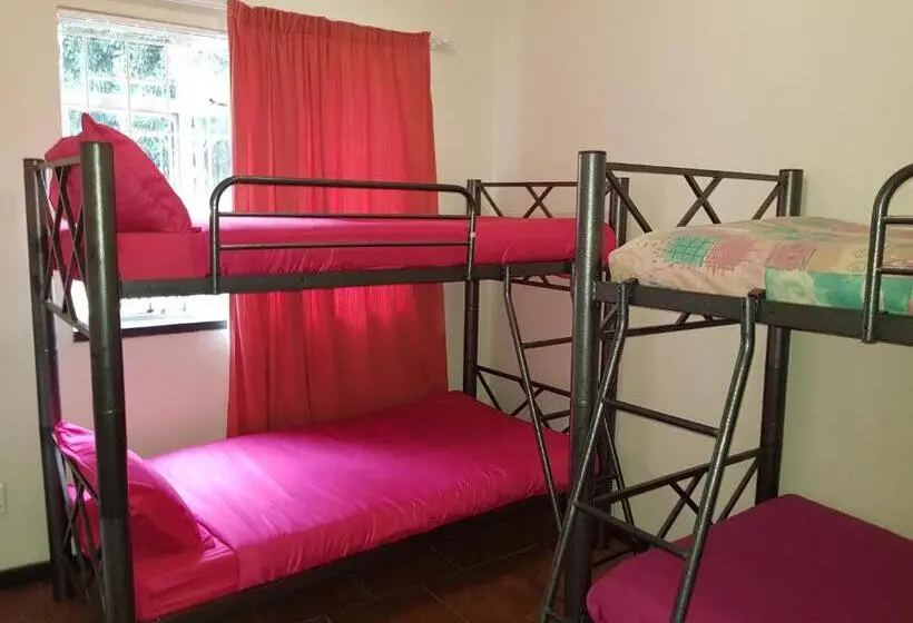 ルームシェアのワンベッド, Travel Lodge Sabie