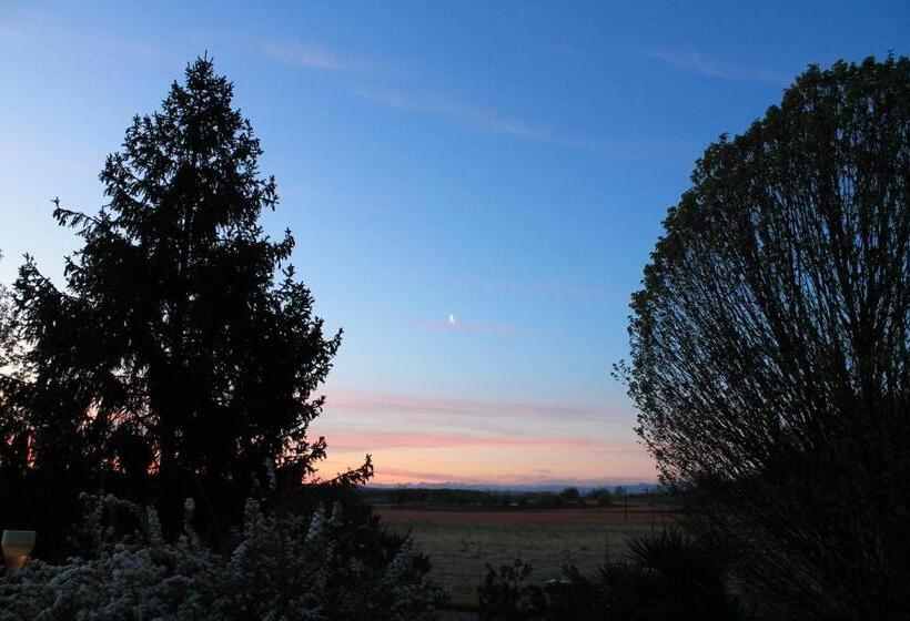 디럭스 룸, Suite Jomenisa