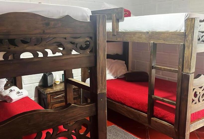 4인용 스탠다드 룸, Ecohotel Salma