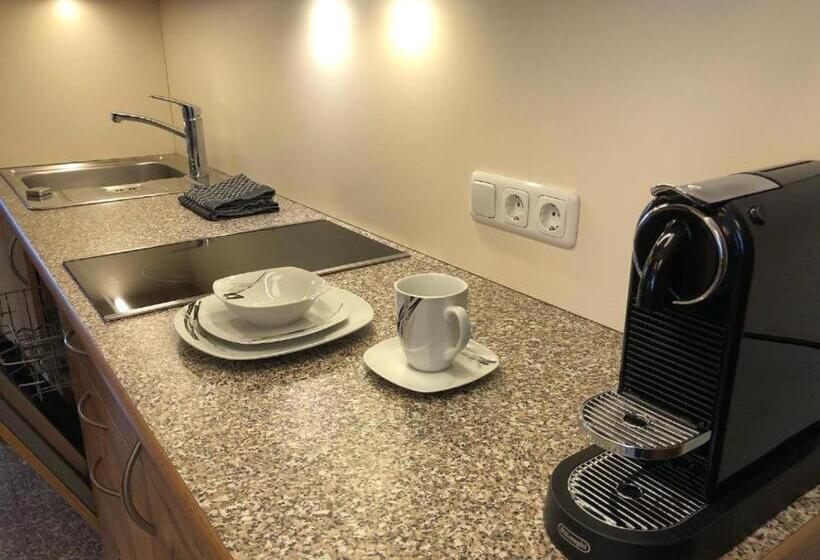 Апартаменты 1 Спальня с Видом, Boutique Apartment Bergliebe   Zentrum Saalbach