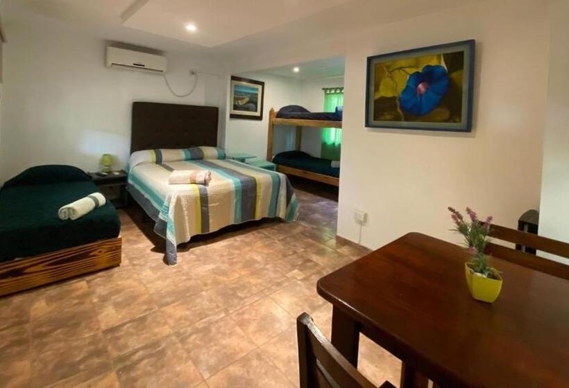 Standaardbungalow, Cabañas Las Violetas A Pasos De La Reserva Urutaú