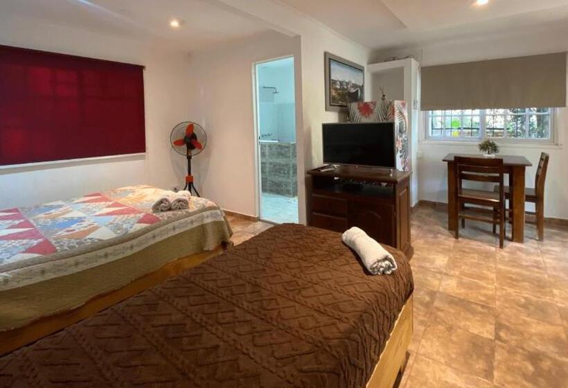 Standaard Bungalow met Uitzicht op de Tuin, Cabañas Las Violetas A Pasos De La Reserva Urutaú