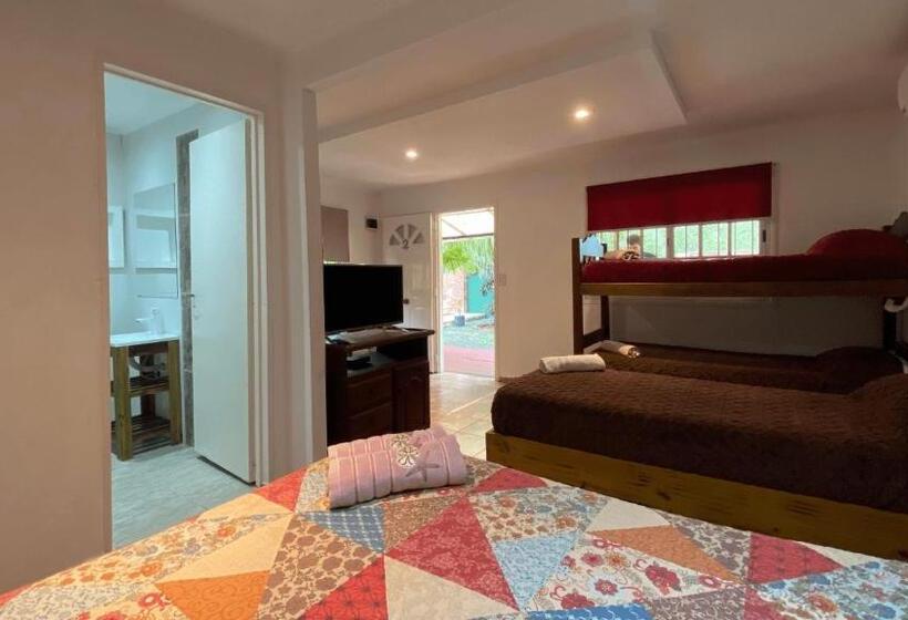 Standaard Bungalow met Uitzicht op de Tuin, Cabañas Las Violetas A Pasos De La Reserva Urutaú