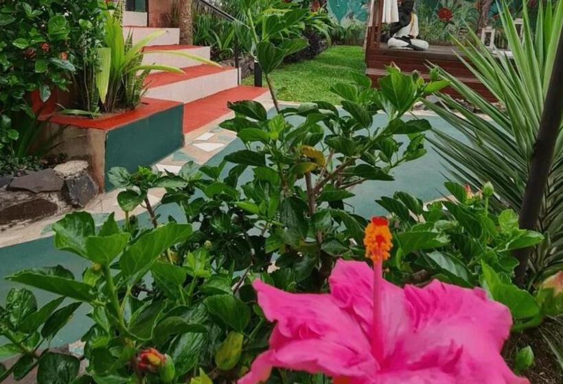 Standaard Bungalow met Uitzicht op de Tuin, Cabañas Las Violetas A Pasos De La Reserva Urutaú