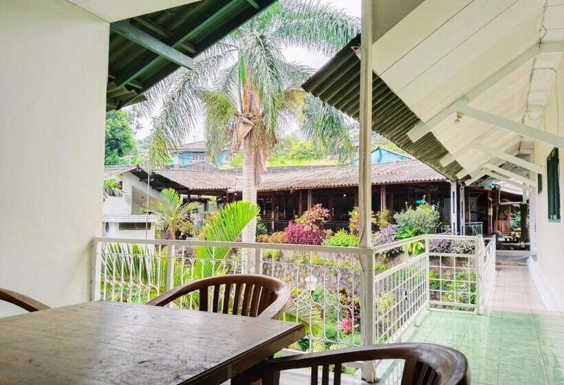 스탠다드 룸, Grand Astoeti