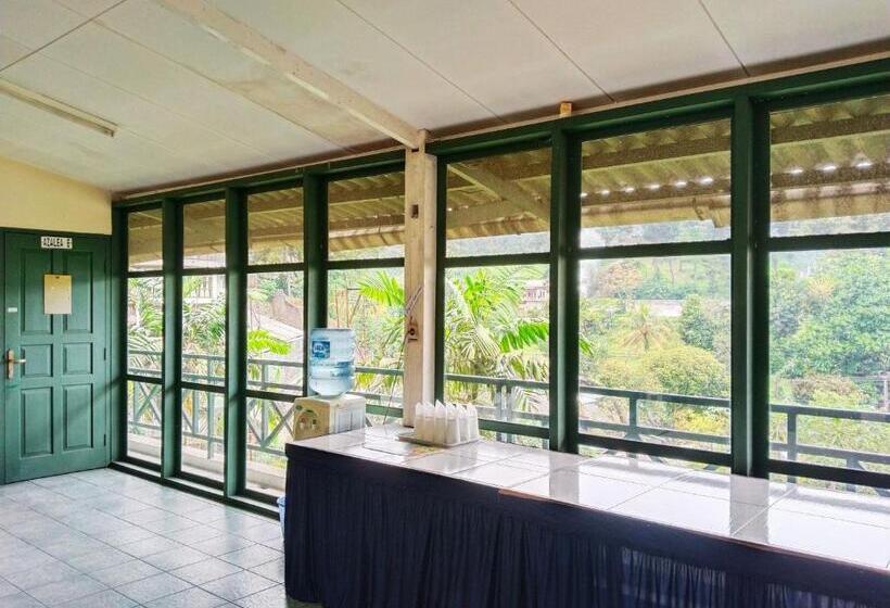 패밀리 룸, Grand Astoeti