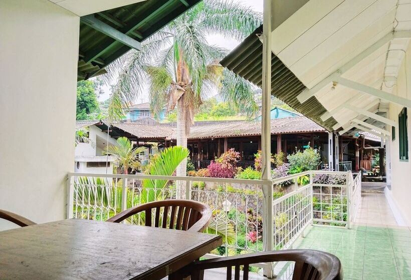 스탠다드 룸, Grand Astoeti