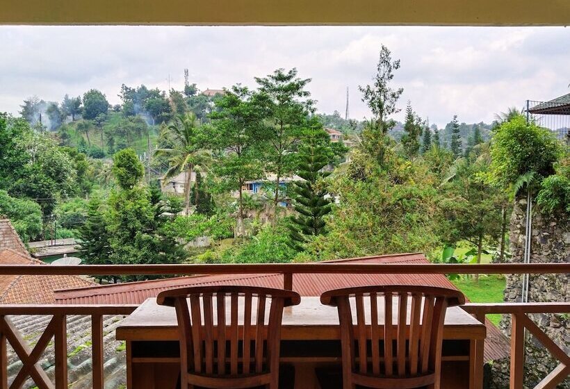 패밀리 스위트, Grand Astoeti