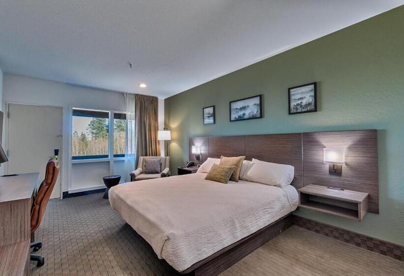 キングサイズベッドのスタンダードルーム, Sunrise Park Lodge