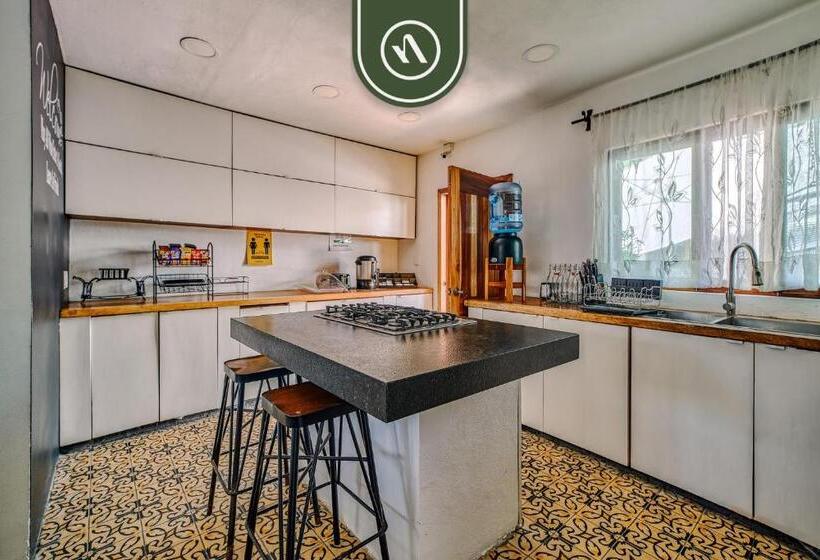 מיטה בחדר משותף, 2 Double Beds   Dormitory Room In Nuevo Vallarta