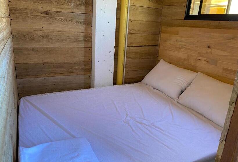 스탠다드 발코니 룸, Petra