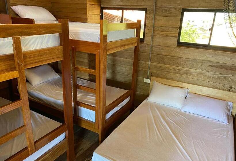 غرفة عائلية, Petra