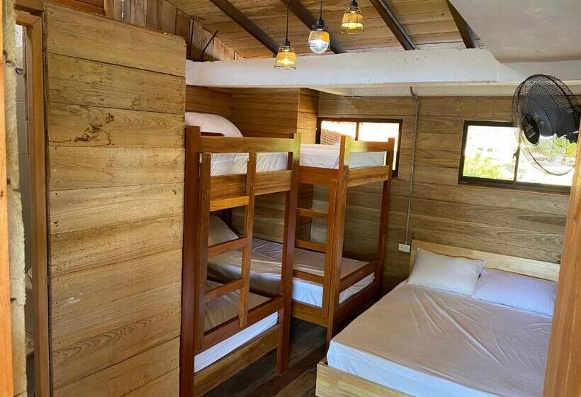 패밀리 룸, Petra