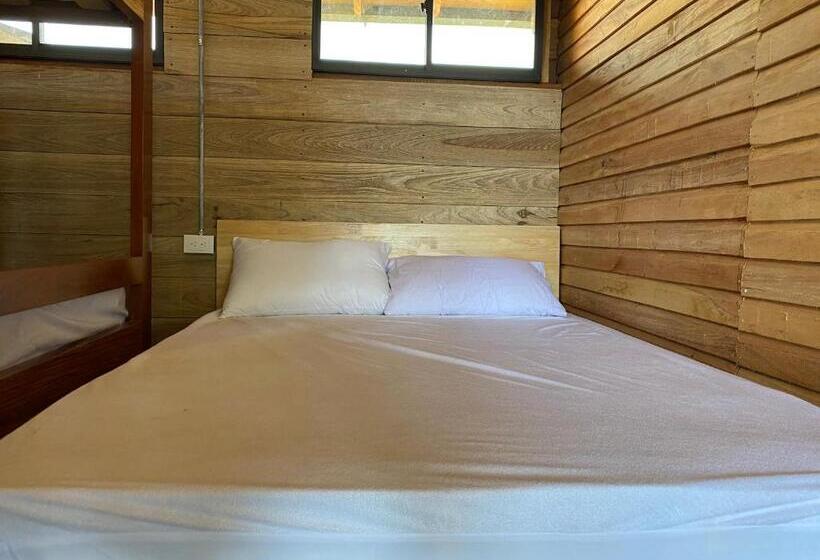 패밀리 룸, Petra