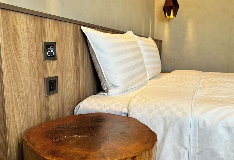 اتاق اکونومی, Initial Tainan