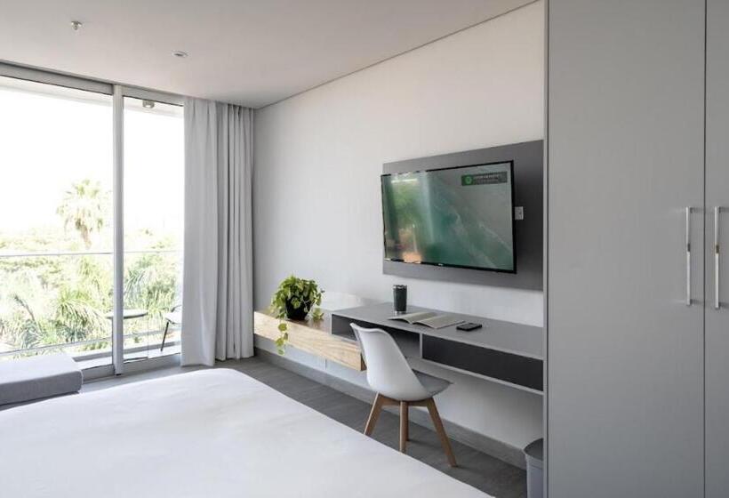 استودیوی استاندارد, Zt Coliving And