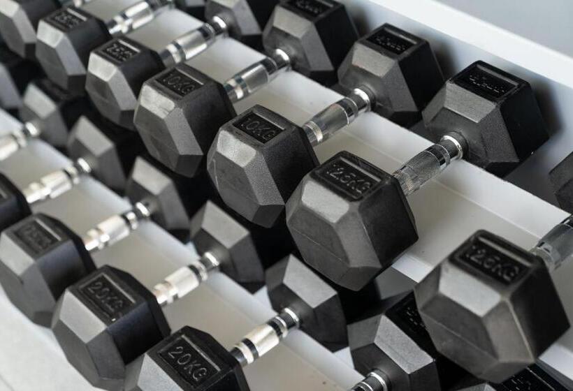 استودیوی استاندارد, Zt Coliving And