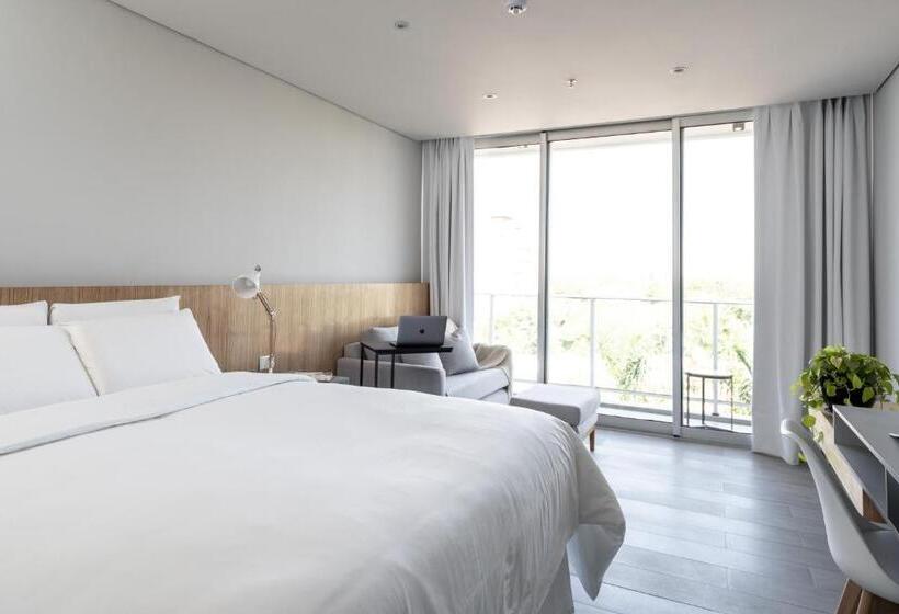 استودیوی استاندارد, Zt Coliving And