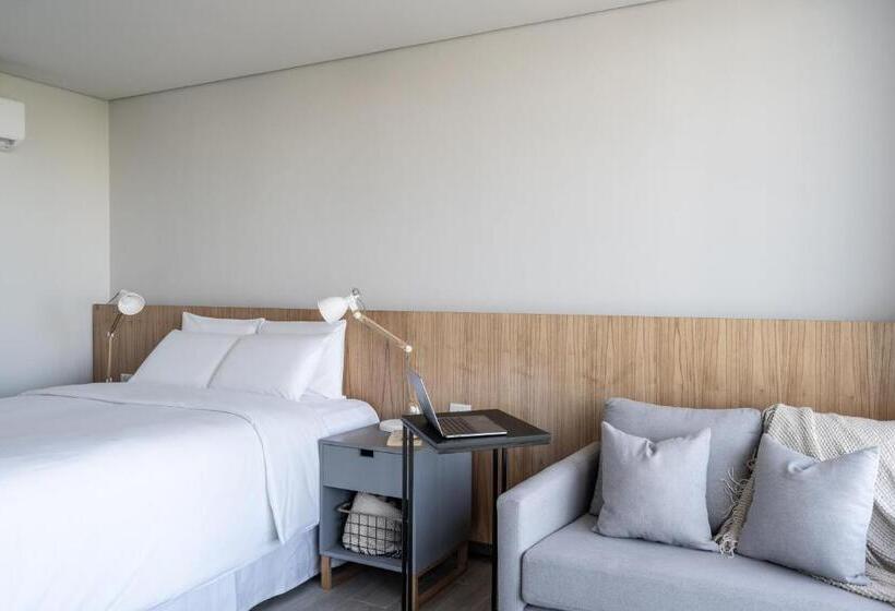 استودیوی استاندارد, Zt Coliving And