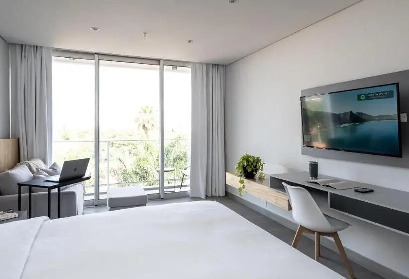 استودیوی استاندارد, Zt Coliving And