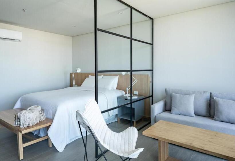 استودیوی سوپریور, Zt Coliving And