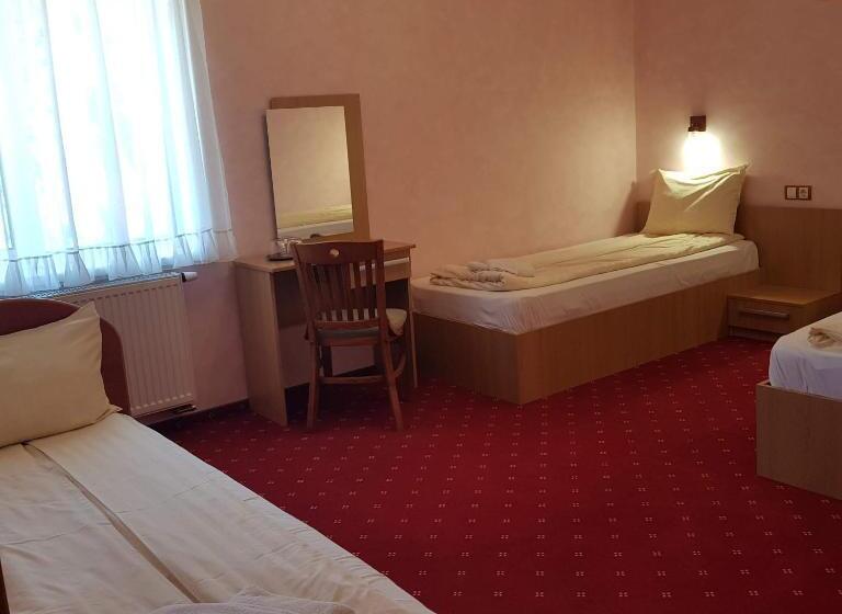 スタンダードトリプルルーム, Motel Vector