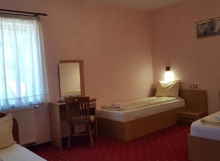 スタンダードトリプルルーム, Motel Vector