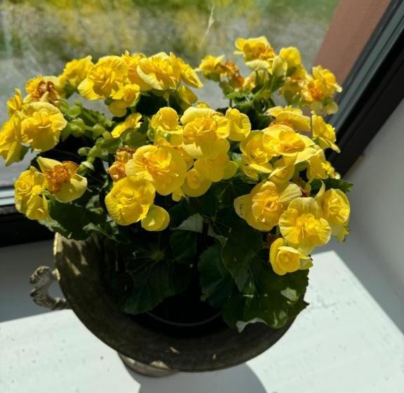 חדר סטנדרט עם נוף, Tkalcovna U Zlatého Potoka