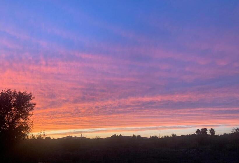 テラス付スイート, B&b Quinta A Fonte Tavira   Adults Only