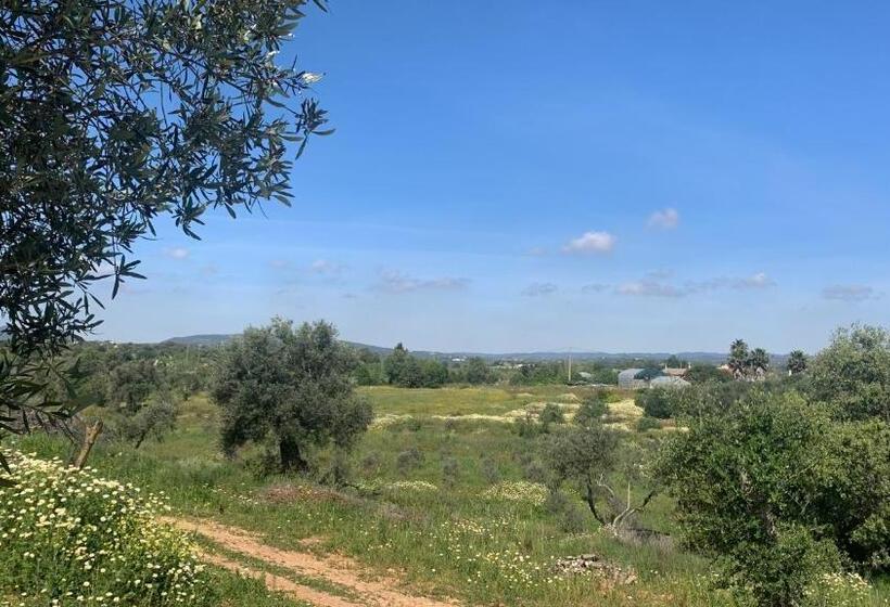 חדר דחוקס עם מיטת קינג, B&b Quinta A Fonte Tavira   Adults Only