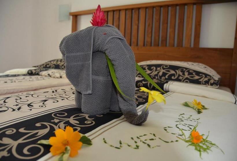 חדר בסיסי, Samsara