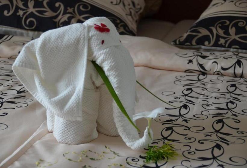 חדר בסיסי, Samsara