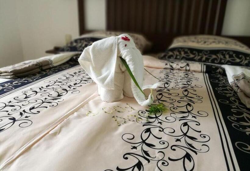 חדר בסיסי, Samsara