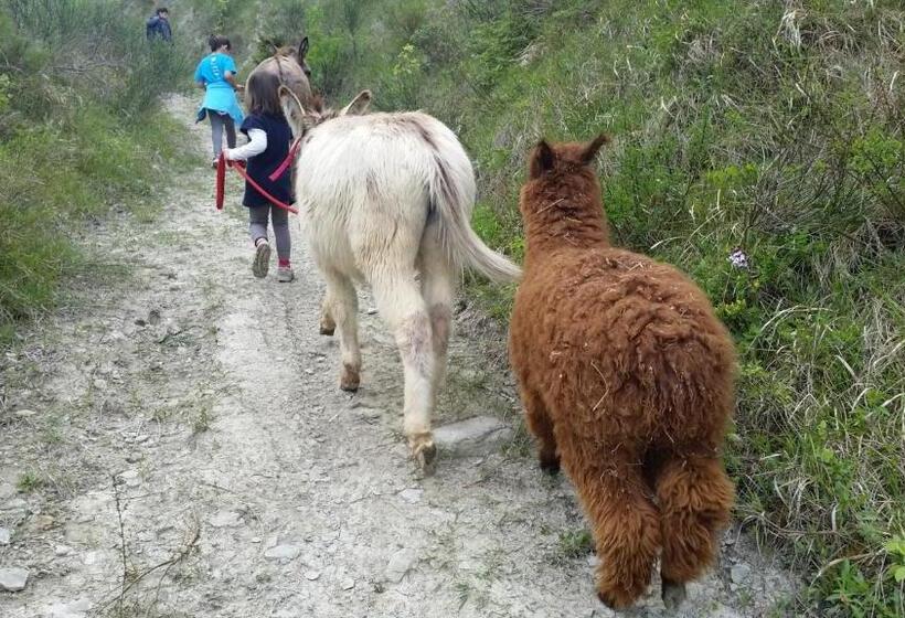 דירה בת חדר שינה 1 עם נוף, Ca Ciuchina  Colazione Inclusa