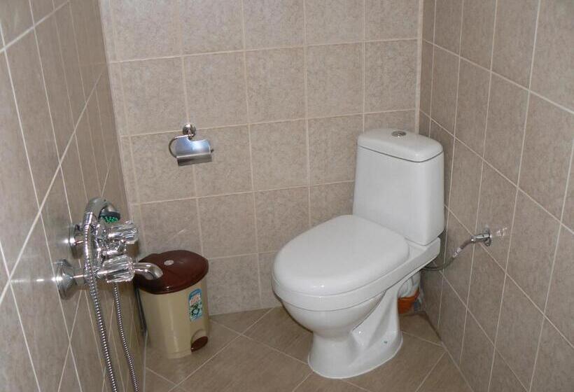 Номер Стандарт, вила борко