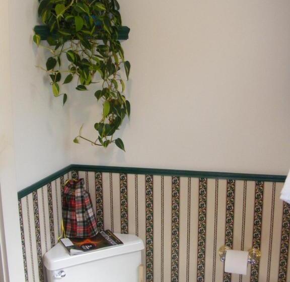 Номер Стандарт, The Tartan Fox At The Meadmere