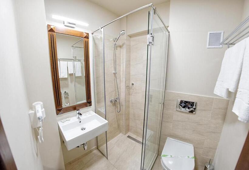 스탠다드 룸, Alpin Rarău