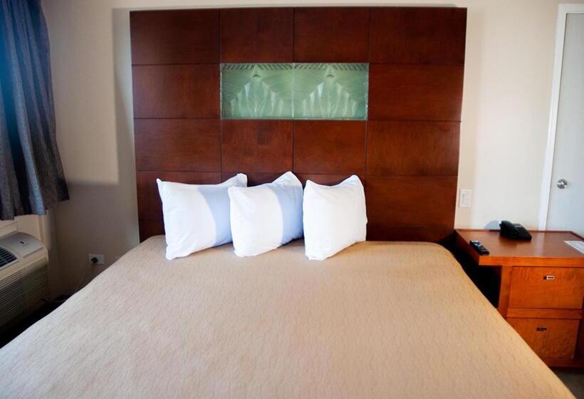 חדר סטנדרט עם מיטת קינג, Del Mar Inn Rosarito