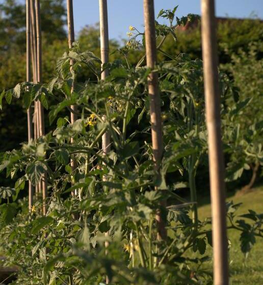 اتاق استاندارد, Martinova Izba   Rooms & Apartments