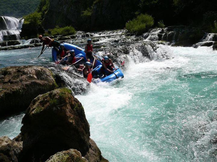 اتاق استاندارد, Bravo Guest House