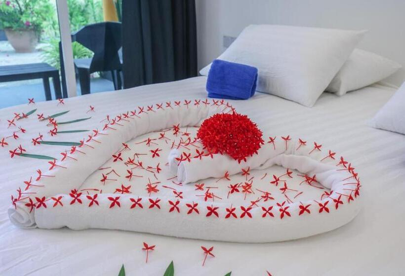 اتاق خانوادگی, Thoddoo Island Holiday Inn