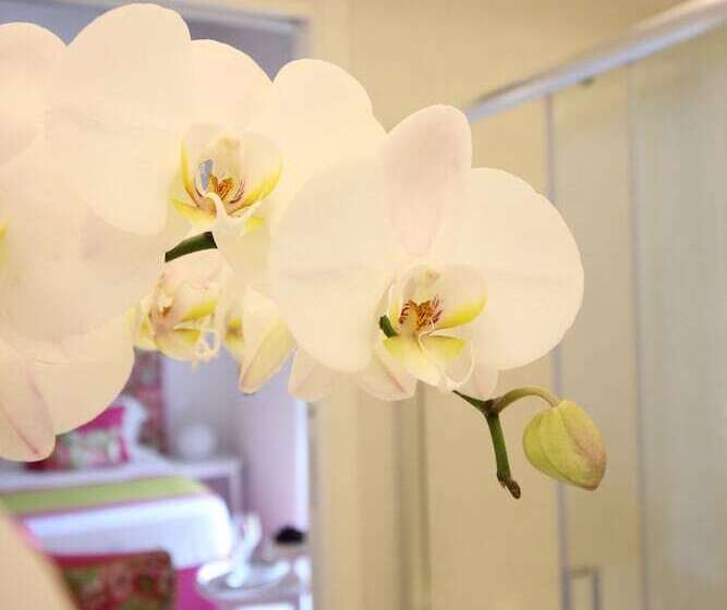 جناح جونيور مطل على المدينة, I Soffitti Dimora Esclusiva