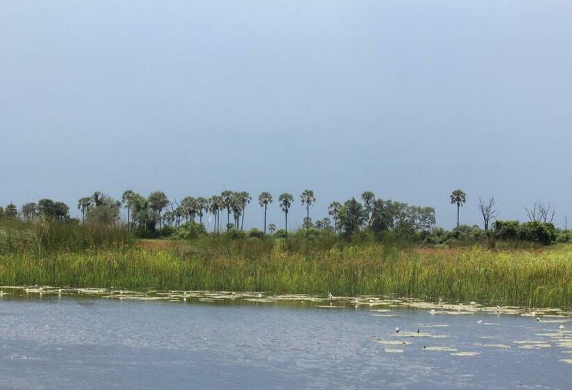 اتاق استاندارد, Cresta Maun